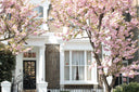 Spring Blossom Season in London