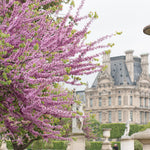 Spring Morning Paris in The Tuileries - Every Day Paris 