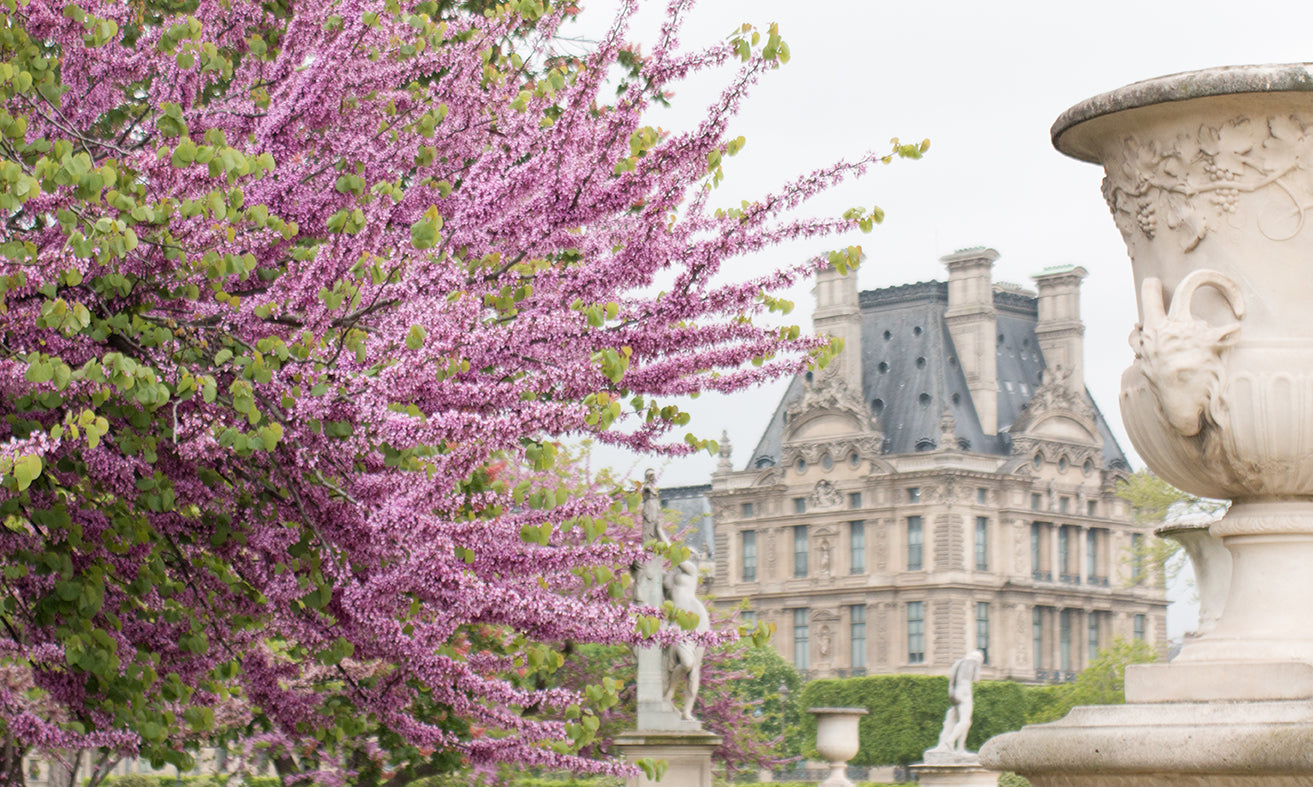 Spring Morning Paris in The Tuileries - Every Day Paris 