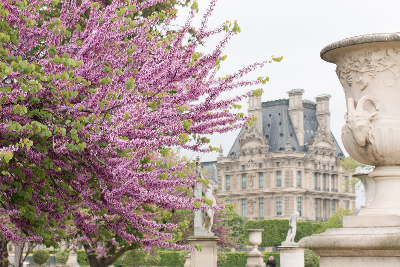 Spring Morning Paris in The Tuileries - Every Day Paris 
