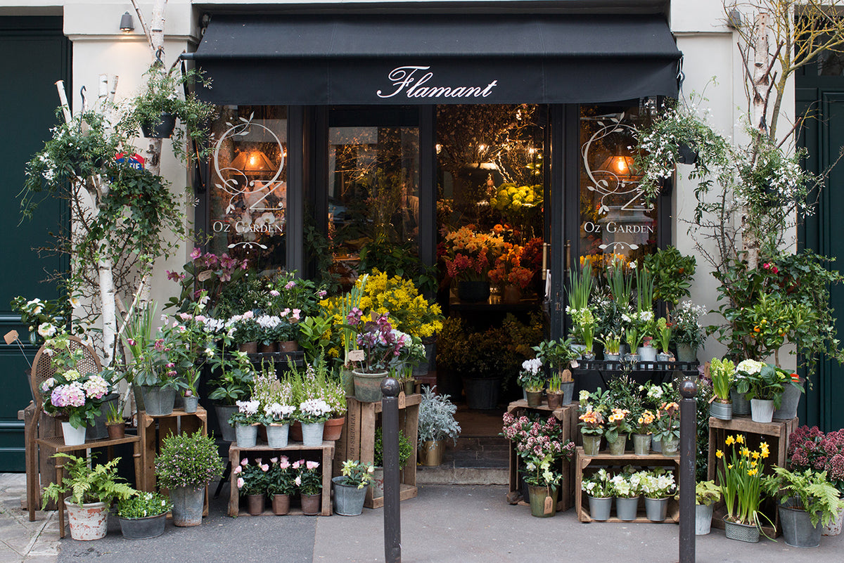 Left Bank Flower Shop in Paris - Every Day Paris 