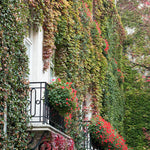 Fall Balcony in Paris - Every Day Paris 