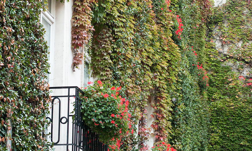 Fall Balcony in Paris - Every Day Paris 