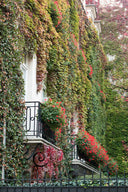 Fall Balcony in Paris