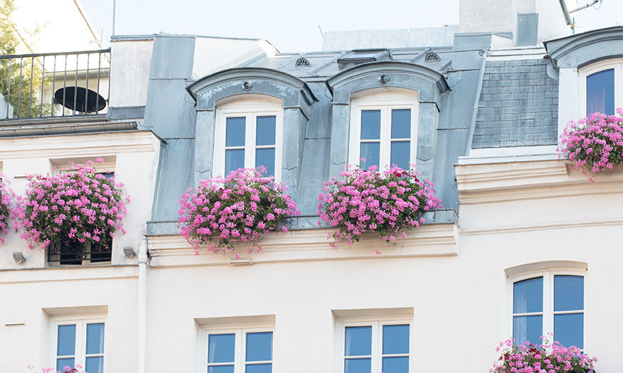Balcony on St Germain des Prés - Every Day Paris 