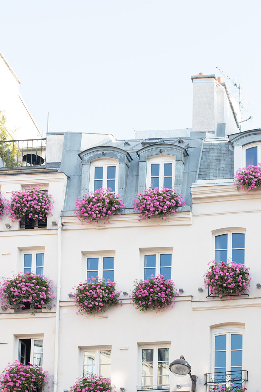 Balcony on St Germain des Prés - Every Day Paris 
