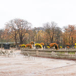 Fall Morning Walk in Luxembourg Gardens - Every Day Paris 