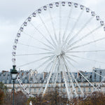 Christmas Morning in The Tuileries - Every Day Paris 