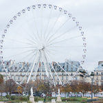 Winter Morning in The Tuileries - Every Day Paris 