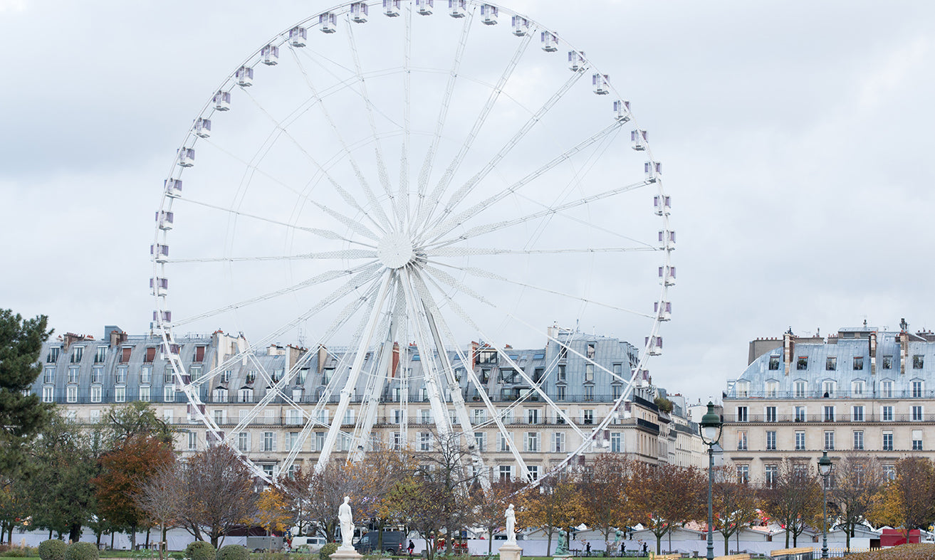 Winter Morning in The Tuileries - Every Day Paris 