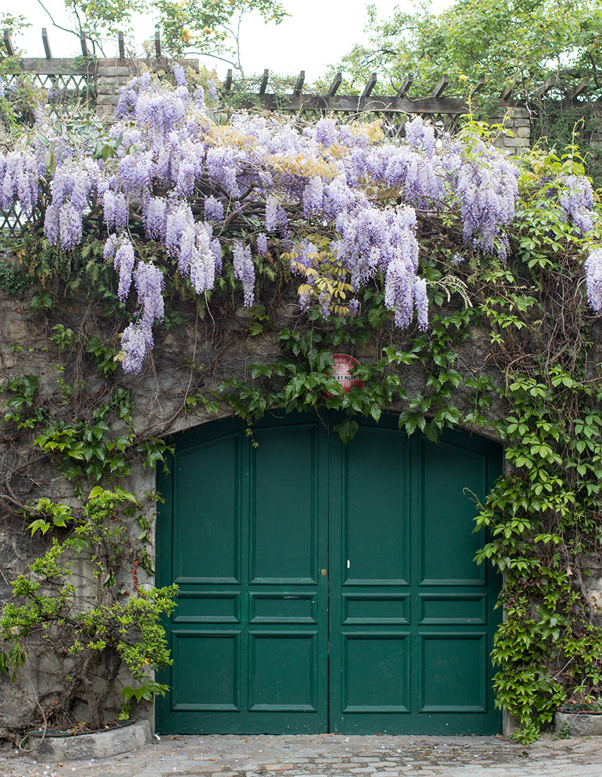 Purple Wisteria in Montmartre - Every Day Paris 