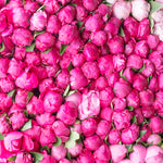 Paris Pink Peonies - Every Day Paris 