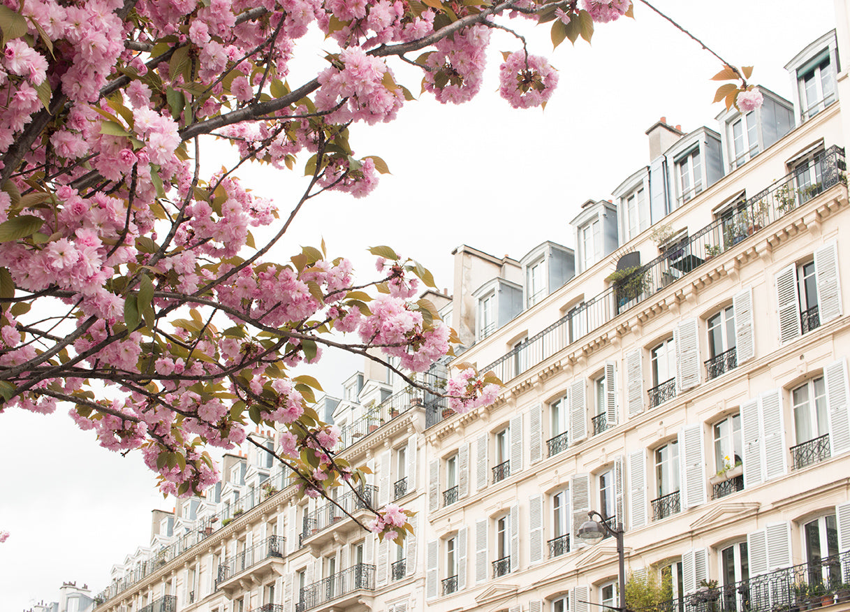 Blossom Season in Paris - Every Day Paris 