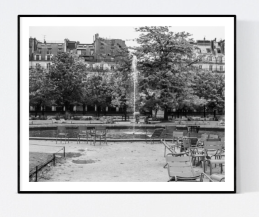 Tuileries Gardens in the Rain Black and White