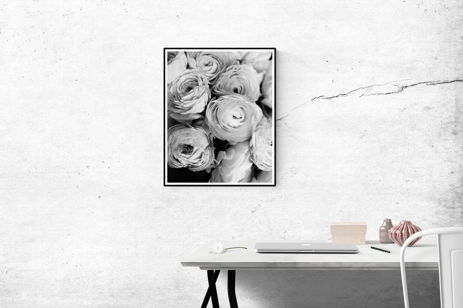Black and White Ranunculus - Every Day Paris 