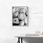 Black and White Ranunculus - Every Day Paris 