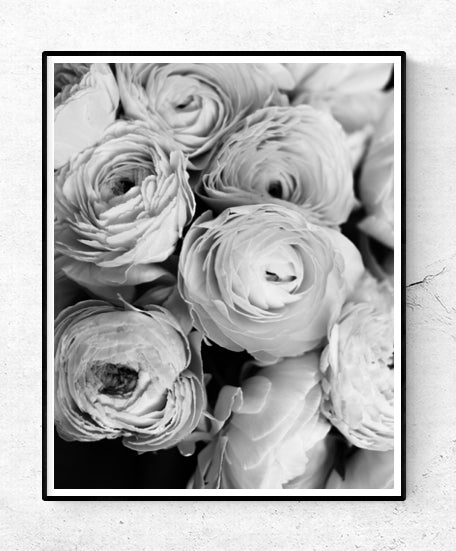 Black and White Ranunculus - Every Day Paris 