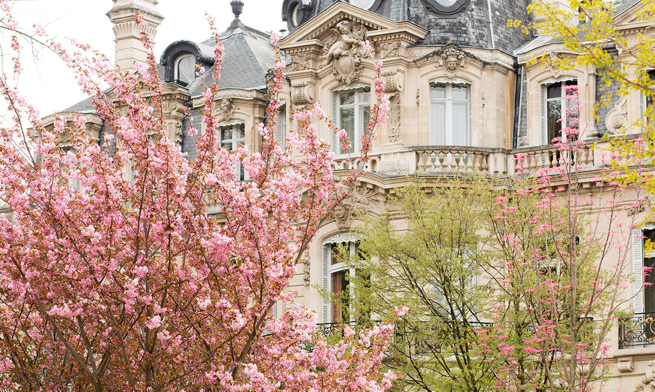 Parc Monceau in the Spring - Every Day Paris 