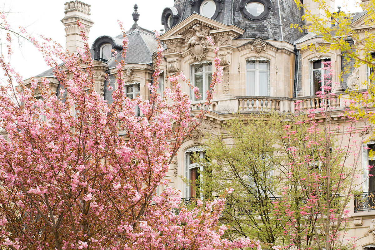 Parc Monceau in the Spring - Every Day Paris 