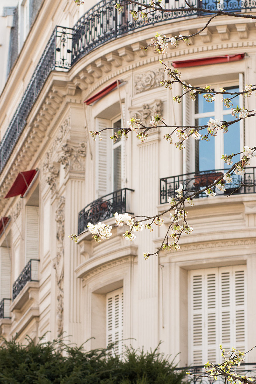Paris Blossom Season - Every Day Paris 