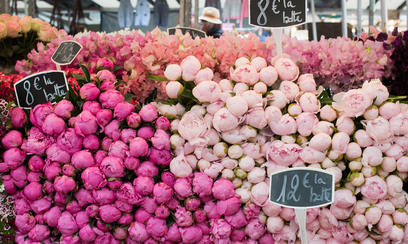 Paris Pink Peonies - Every Day Paris 