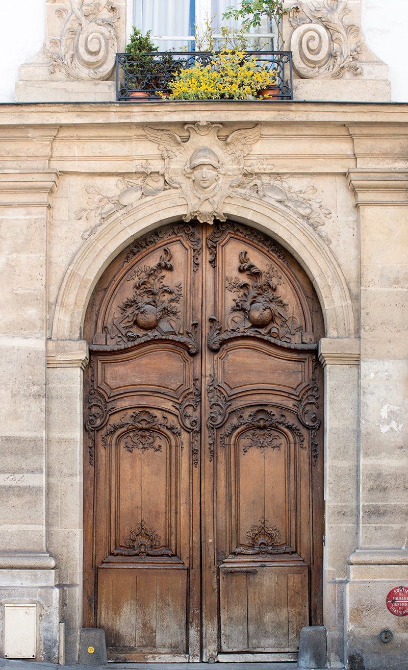 Brown Apartment door on The Left Bank - Every Day Paris 