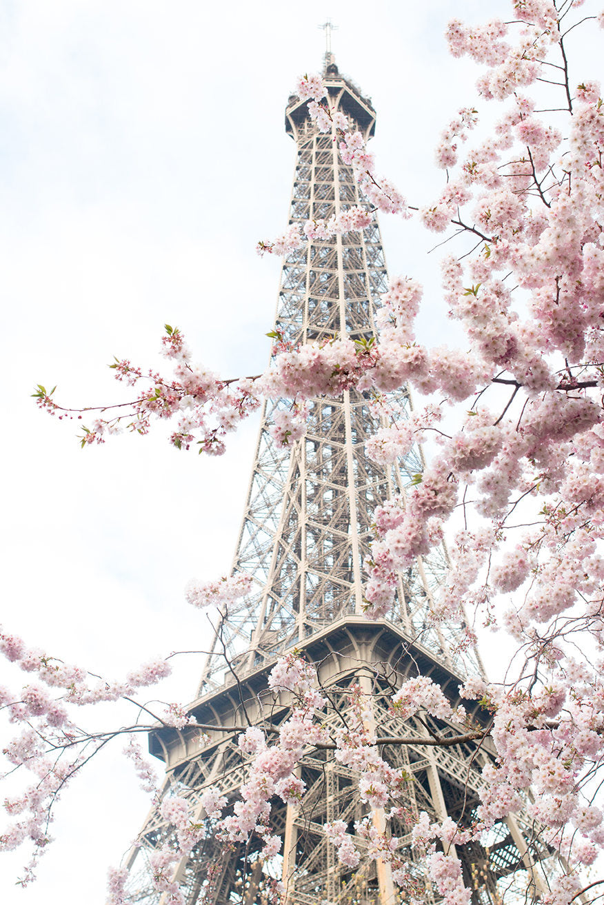 April in Paris - Every Day Paris 