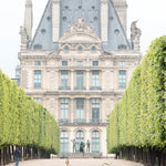 Spring Morning in The Tuileries - Every Day Paris 