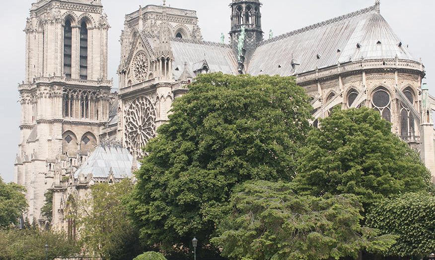 Postcard Paris on The Seine - Every Day Paris 