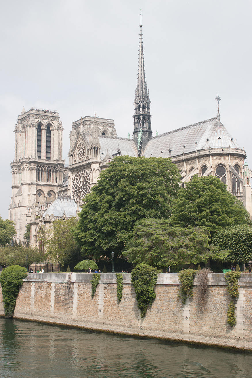 Postcard Paris on The Seine - Every Day Paris 