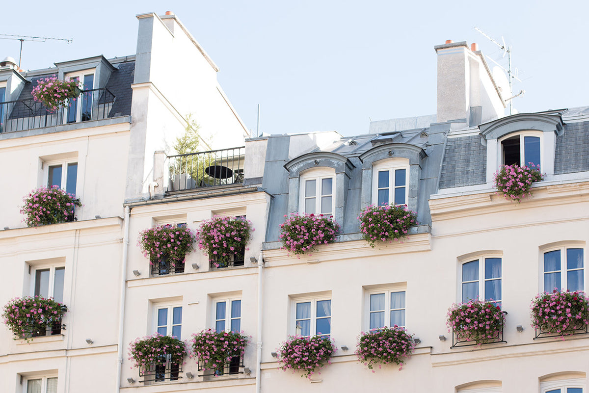Flower Balconies on St Germain de Près - Every Day Paris 