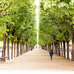 Morning walk through Palais Royal - Every Day Paris 
