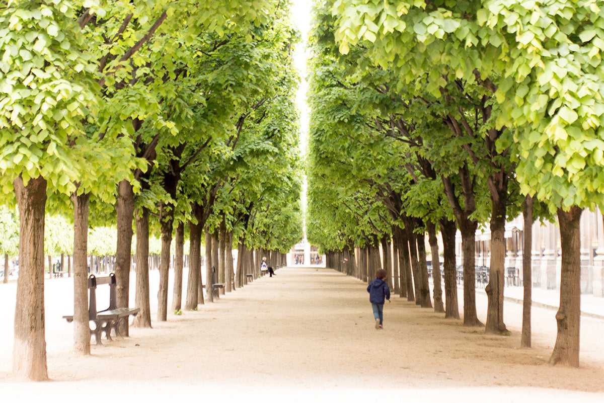 Morning walk through Palais Royal - Every Day Paris 