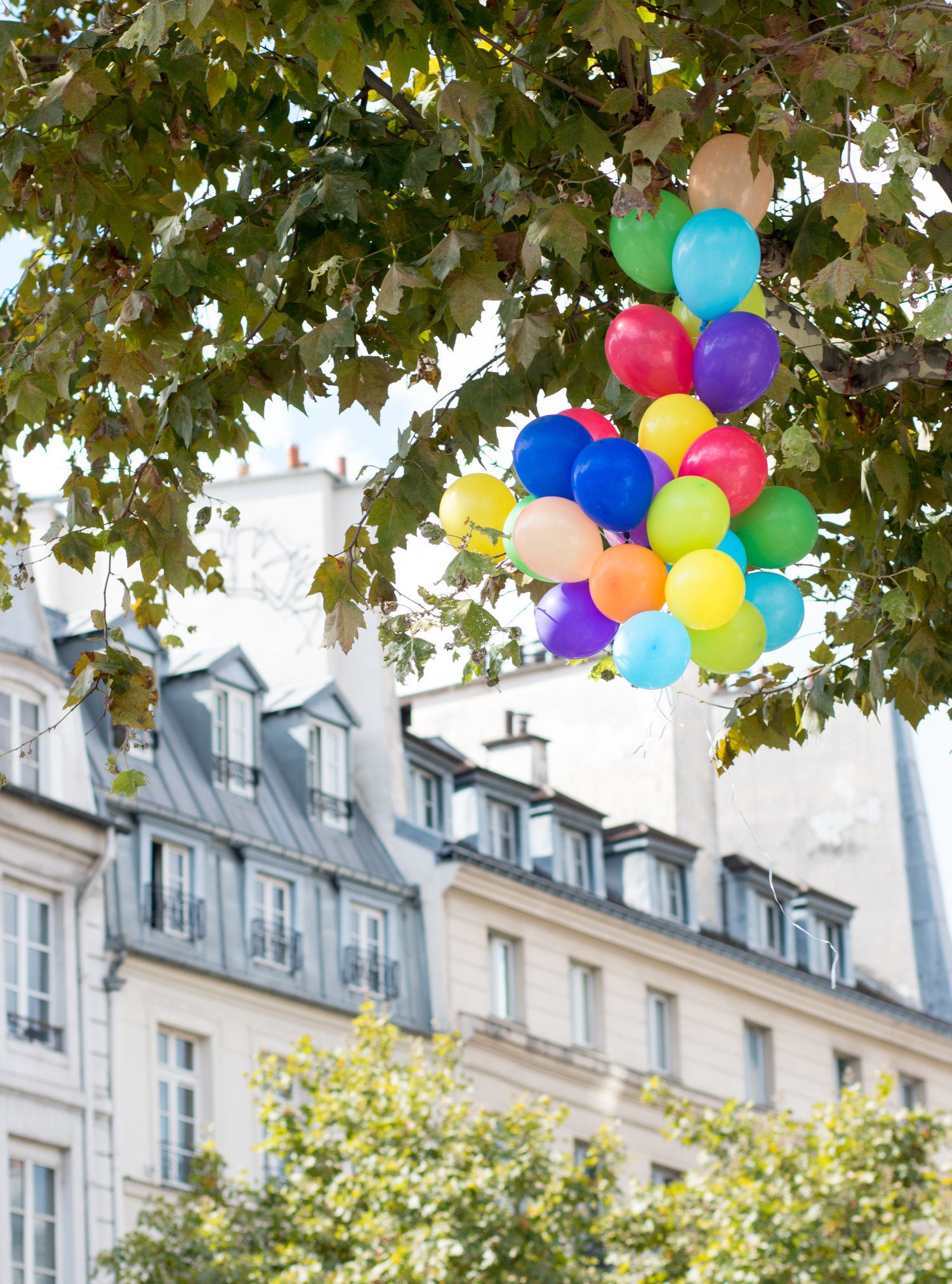 Balloons on St Germain de Prés - Every Day Paris 