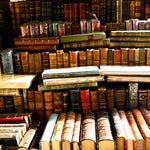 Books for sale along the Seine - Every Day Paris 