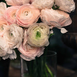 Pink Ranunculus for sale in Paris - Every Day Paris 