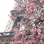 Paris in the Springtime - Every Day Paris 