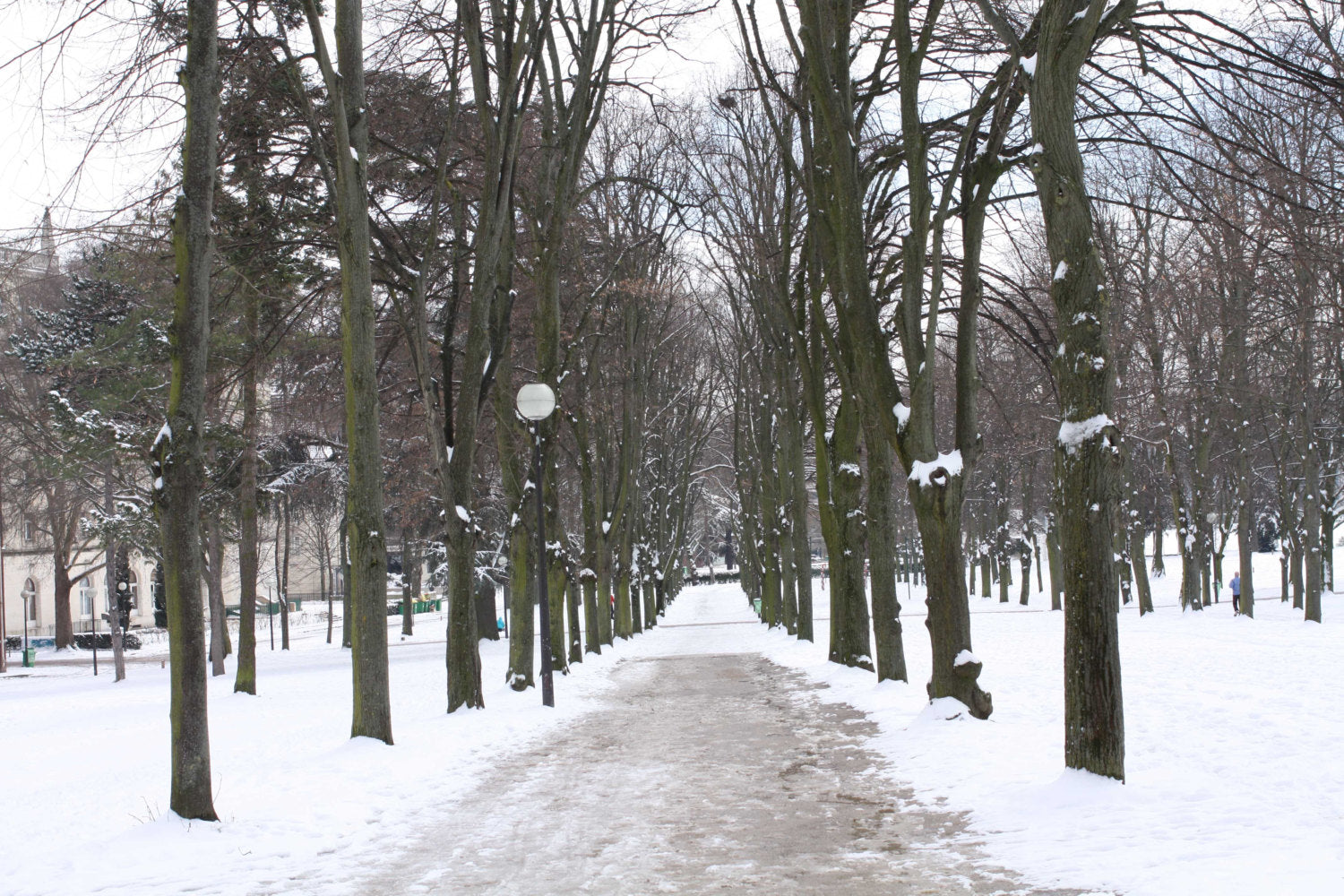 Snowy Path in Paris - Every Day Paris 