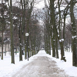 Snowy Path in Paris - Every Day Paris 