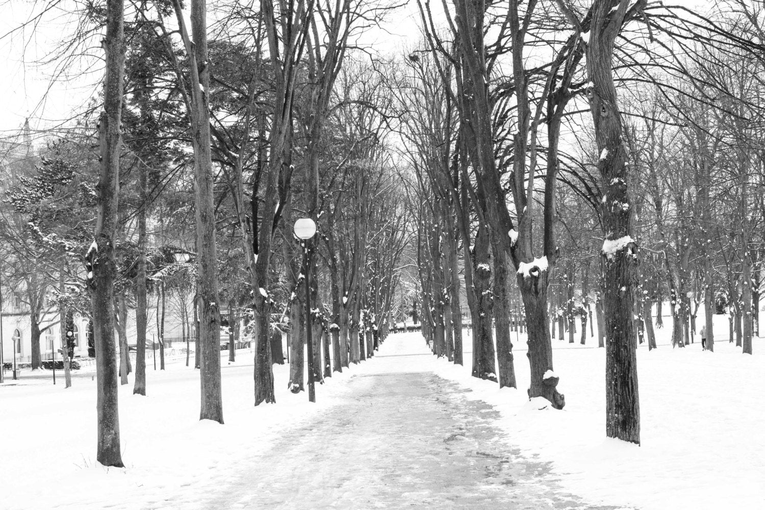 Snowy Path in Paris - Every Day Paris 
