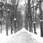 Snowy Path in Paris - Every Day Paris 
