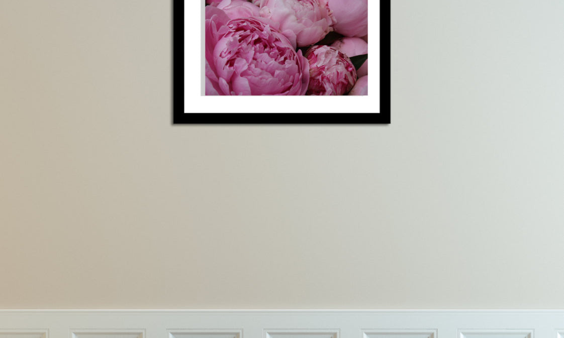 Fragrant Bright Pink Peonies - Every Day Paris 