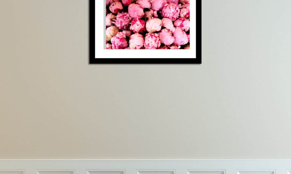 Pink Peonies in Southern France - Every Day Paris 