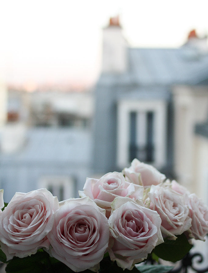 Montmartre Balcony Window - Every Day Paris 