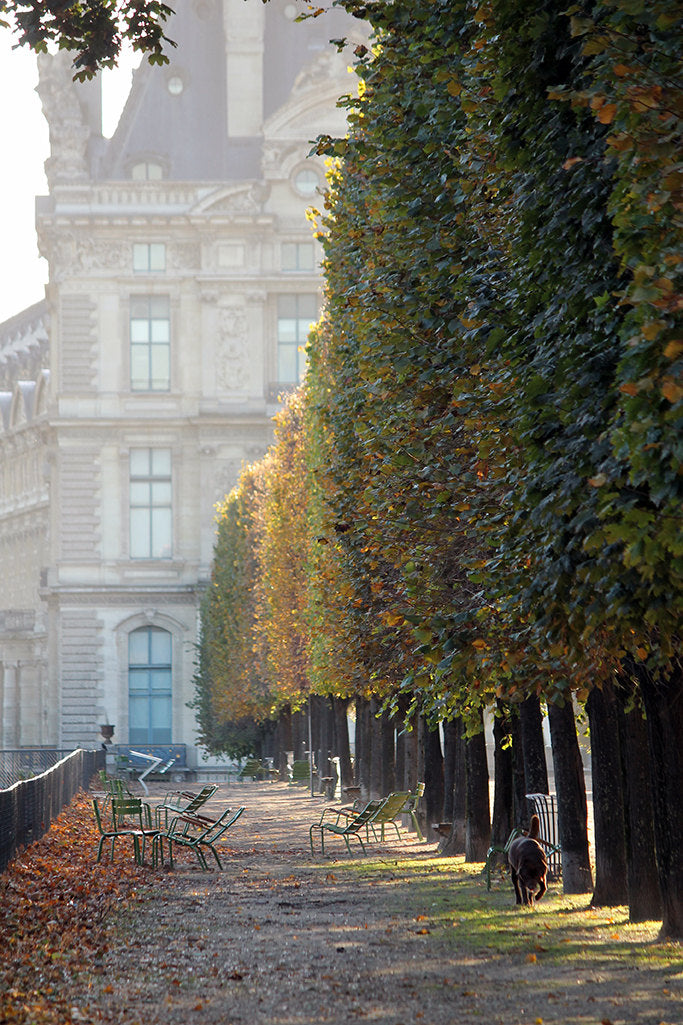 Weekend Light in the Tuileries - Every Day Paris 