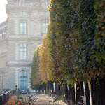 Weekend Light in the Tuileries - Every Day Paris 