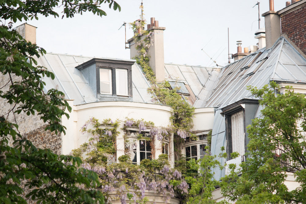Purple Wisteria Window in Paris - Every Day Paris 