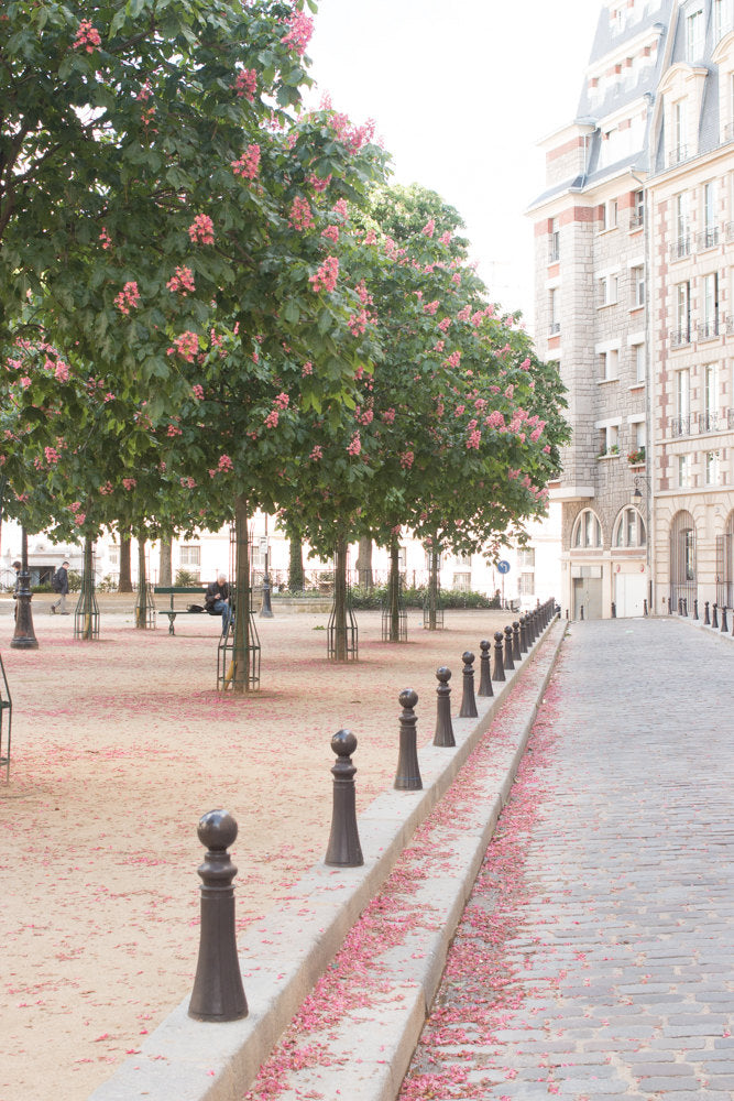 Spring in Place Dauphine - Every Day Paris 