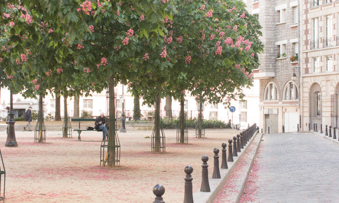 Spring in Place Dauphine - Every Day Paris 