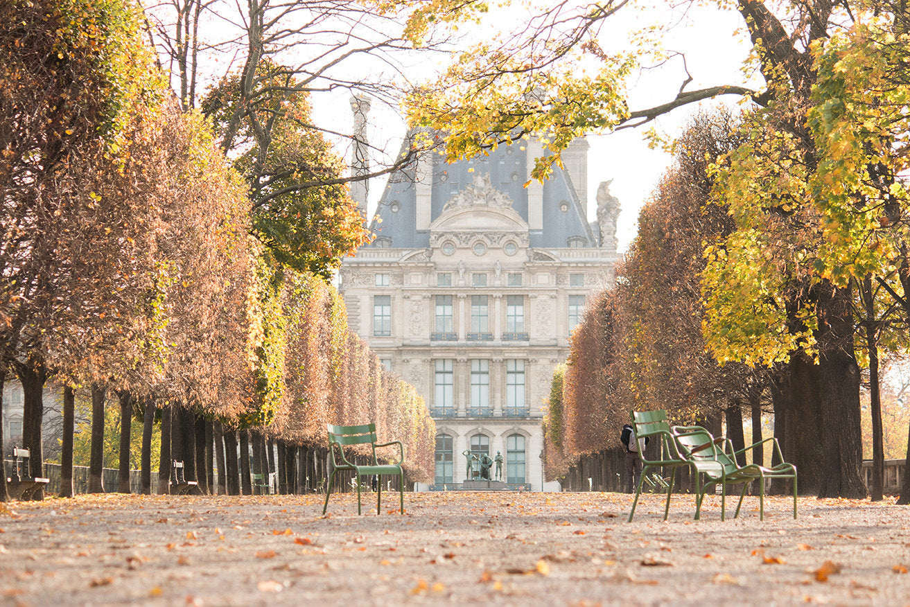 Autumn Light in the Tuileries - Every Day Paris 